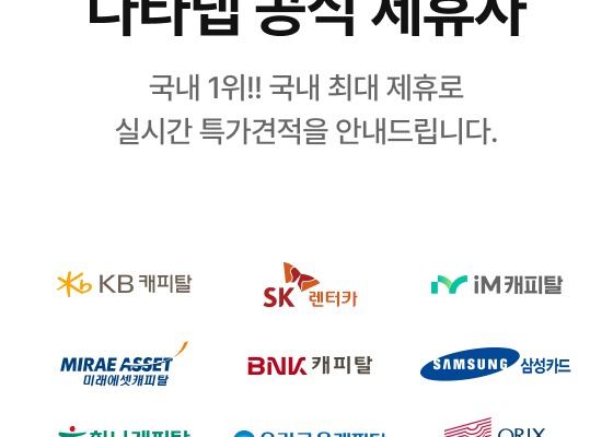 다타랩 제휴사 — KB캐피탈, SK렌터카, iM캐피탈, MIRAE ASSET, BNK캐피탈, 삼성카드, 하나캐피탈, 우리금융캐피탈, ORIX, 롯데캐피탈, MG캐피탈, DGB캐피탈, NH농협캐피탈, KDB캐피탈, 신한카드, 우리카드, meritz캐피탈, JB우리캐피탈
