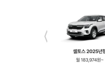 팰리세이드