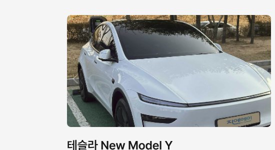 테슬라 New Model Y